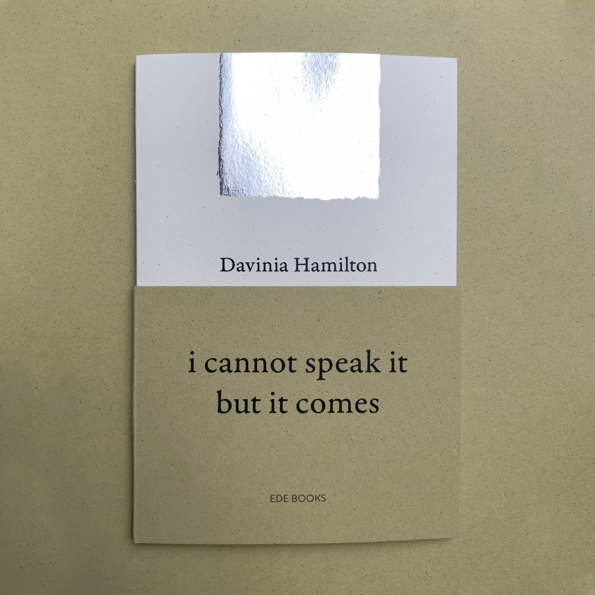 003 – Davinia Hamilton – i cannot speak it but it comes