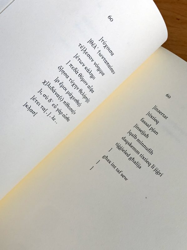 saffo-8
